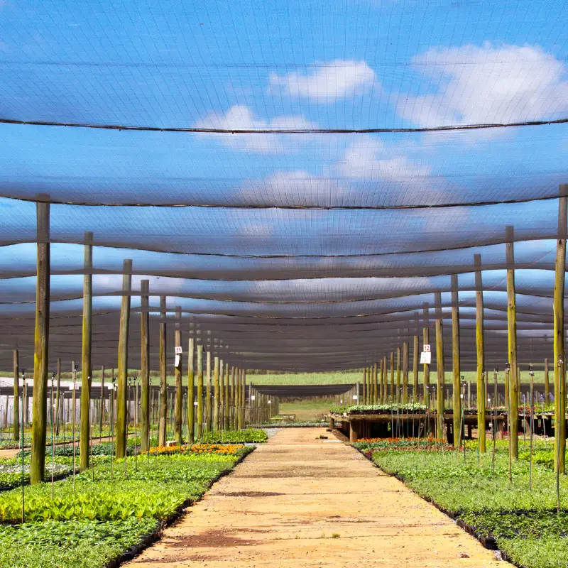 온실 그늘 천