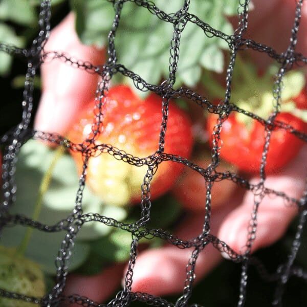 未命名的设计 (7)