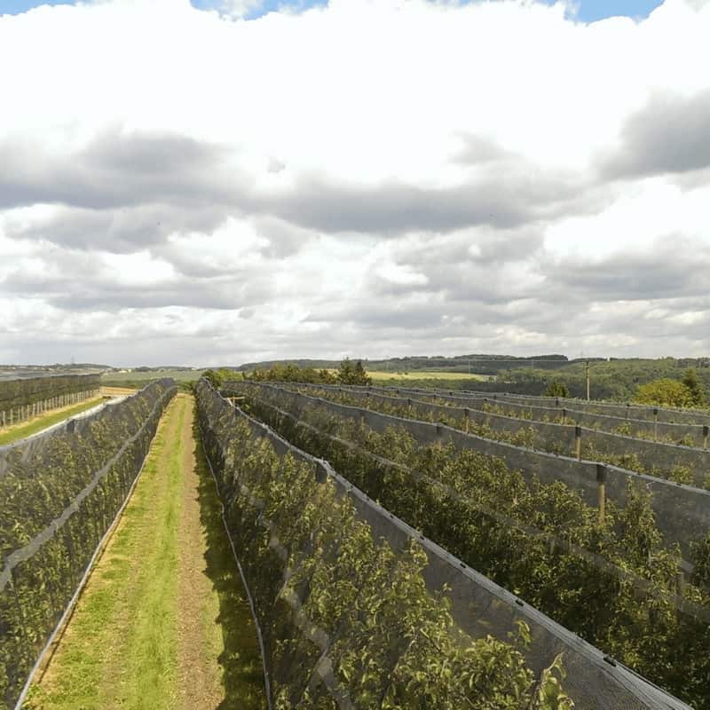 상단 와이어 설치용 클립 2