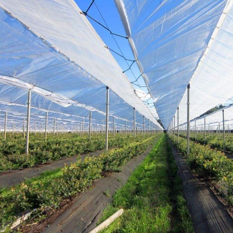 bungee cord installation 1