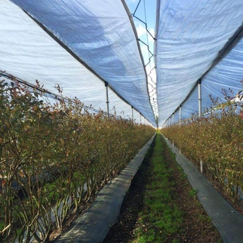 bungee cord installation 3