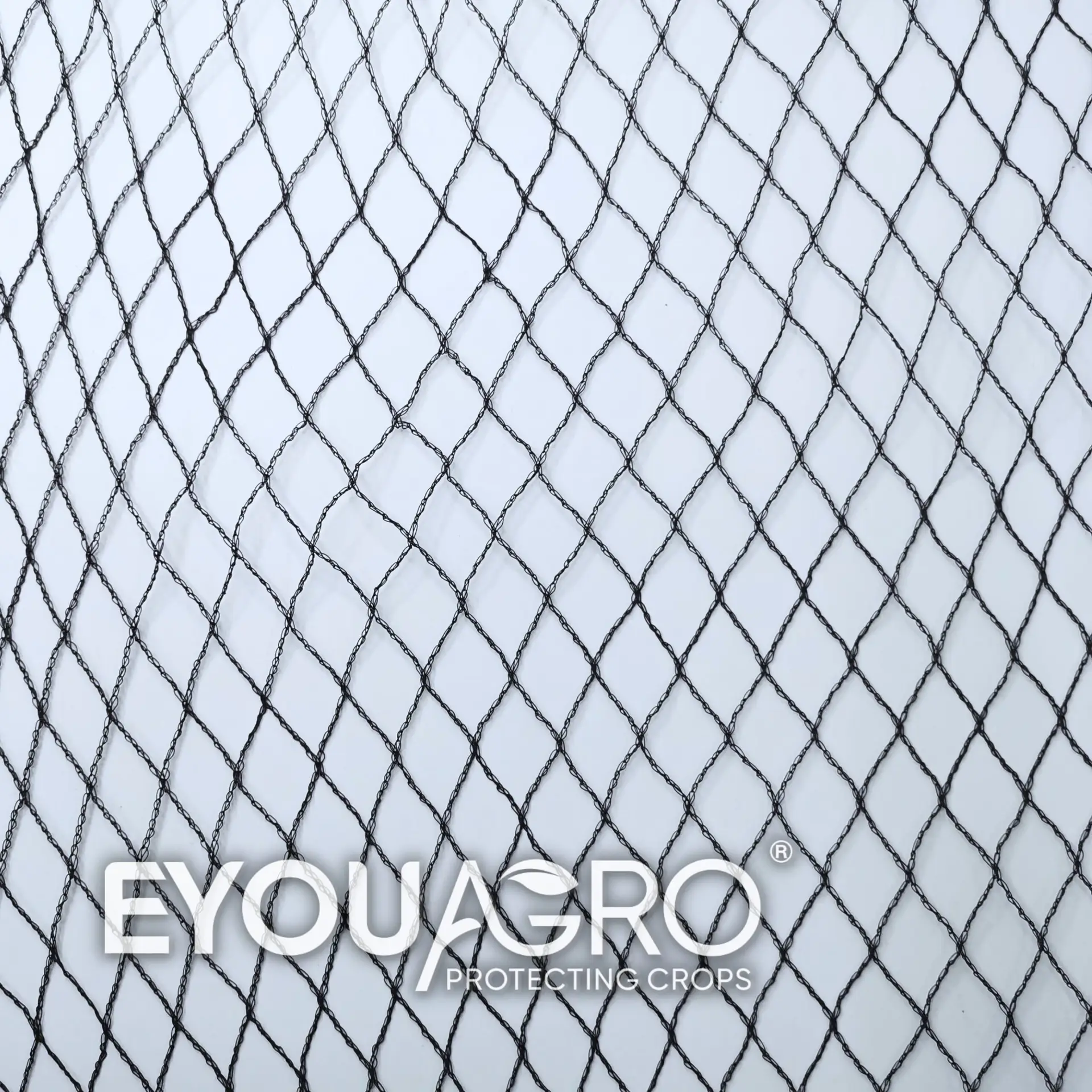 vineyard bird netting