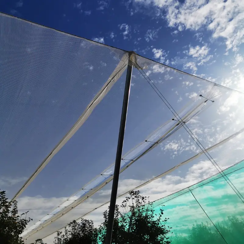 triangle hail netting