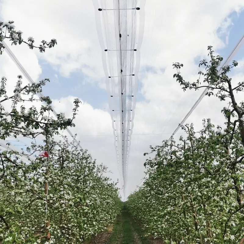 triangle hail netting