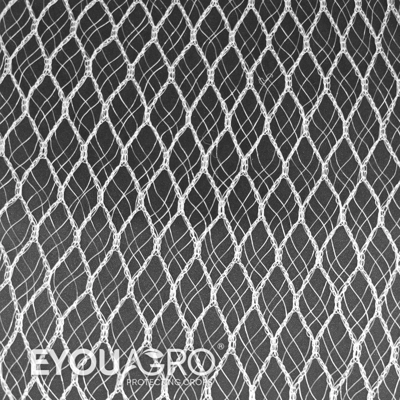 quad crossover canopy