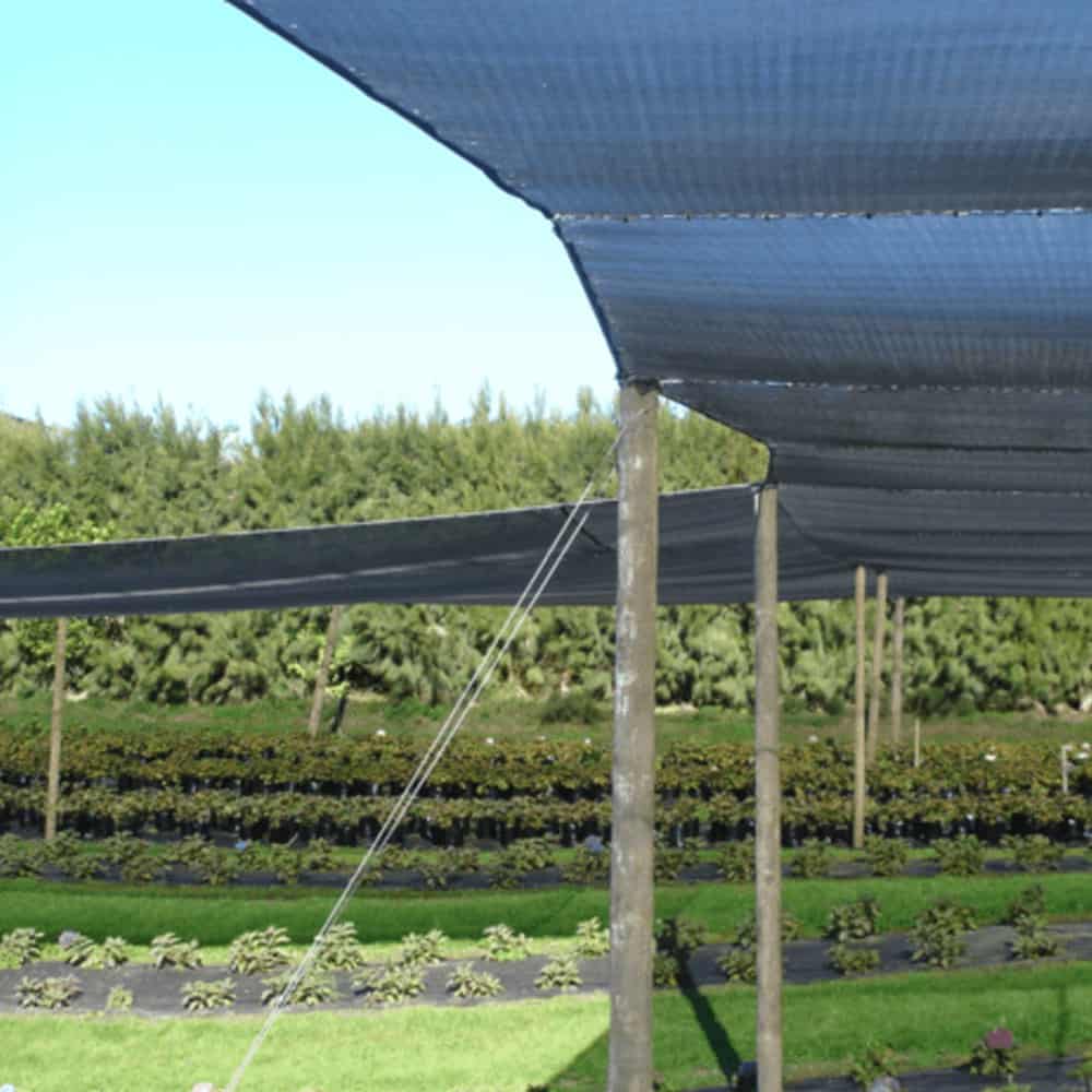2. shading for horticulture