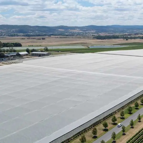 quad crossover canopy