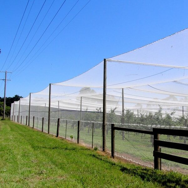 Fruit Tree Netting Main