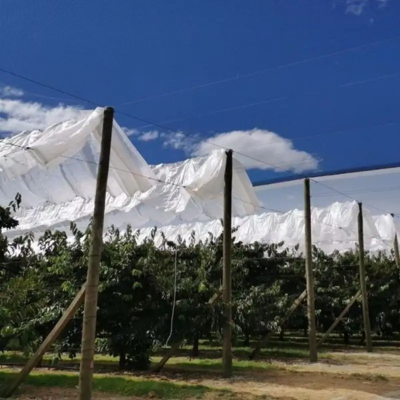cherry rain cover tarpaulins