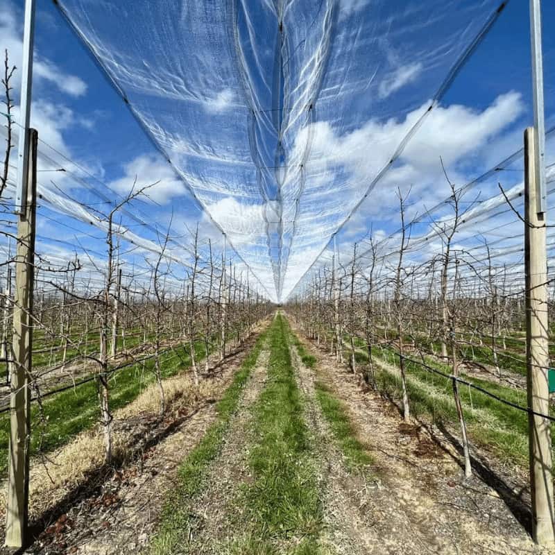 hail net clip installation