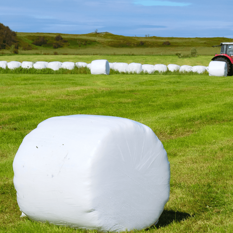 silage wrap film