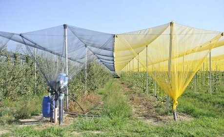colored shade netting