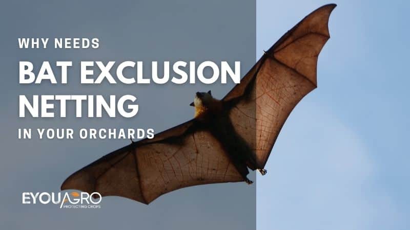 bat netting