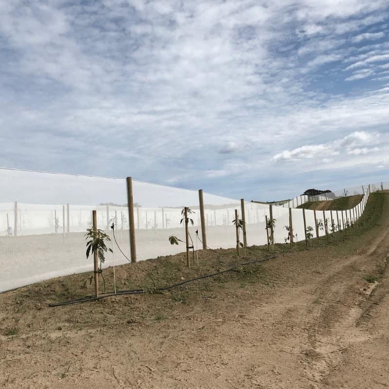 windbreak netting