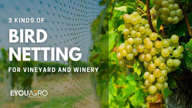 3 bird netting for winery