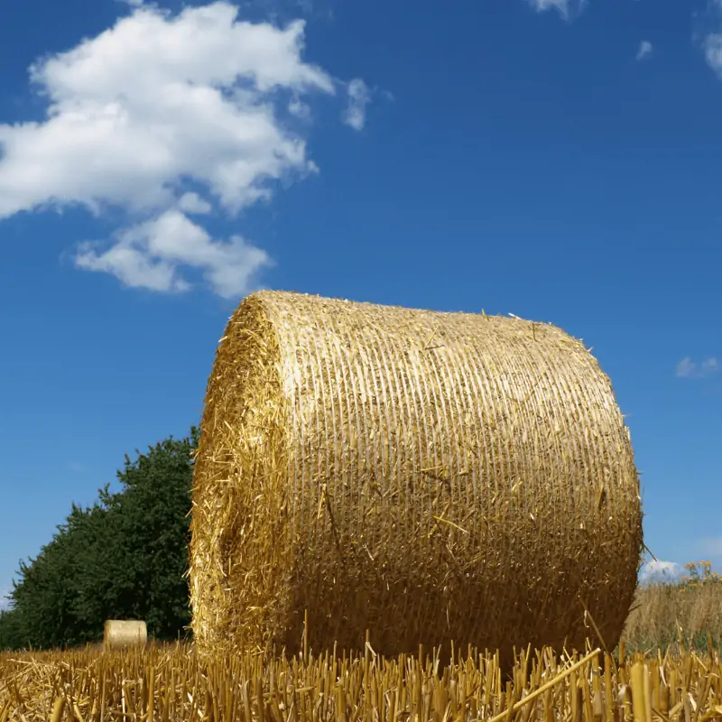 bale net wrap 800x