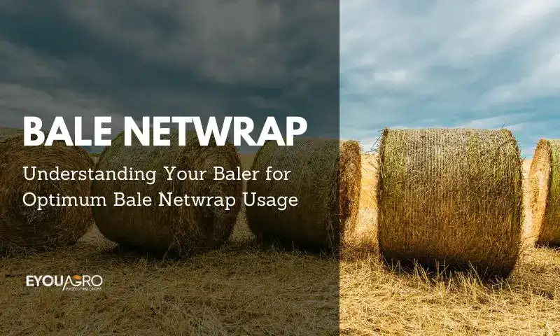 The Complete Guide to Buying Baler Netwrap: Strength, Size, Compatibility, and UV Protection