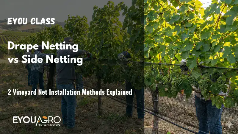 vineyard netting installation methods