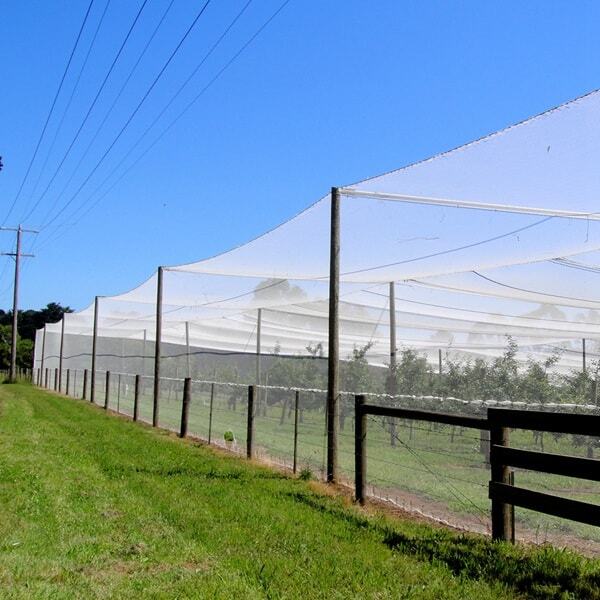 Fruit Tree Netting Main