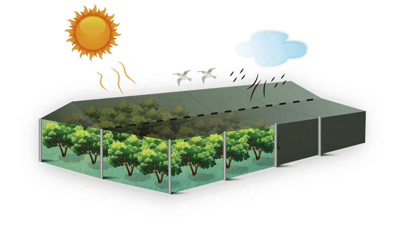 Agriculture Crop Covers