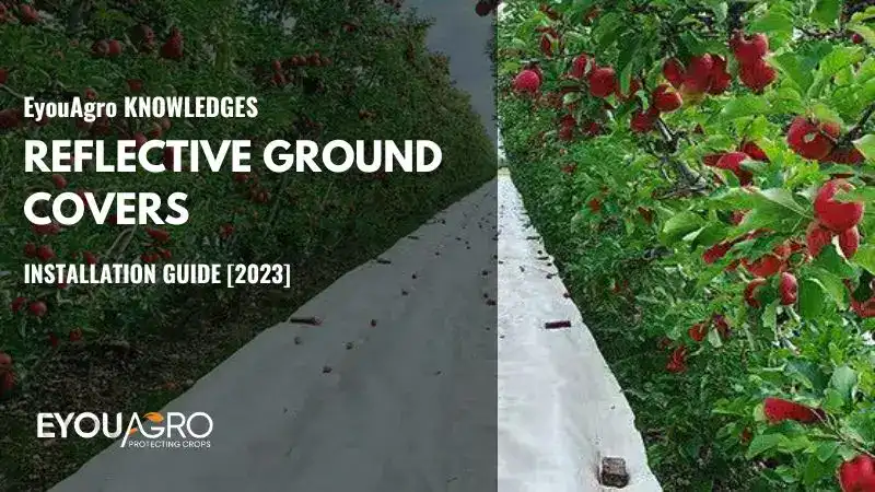 reflective ground cover