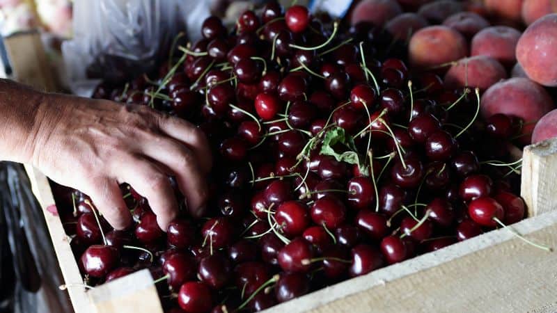 cherry