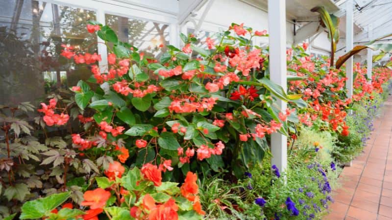 Horticultural shade cloth