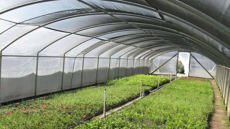 shade cloth
