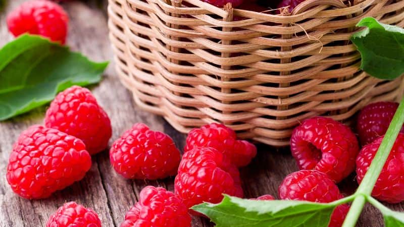 raspberries
