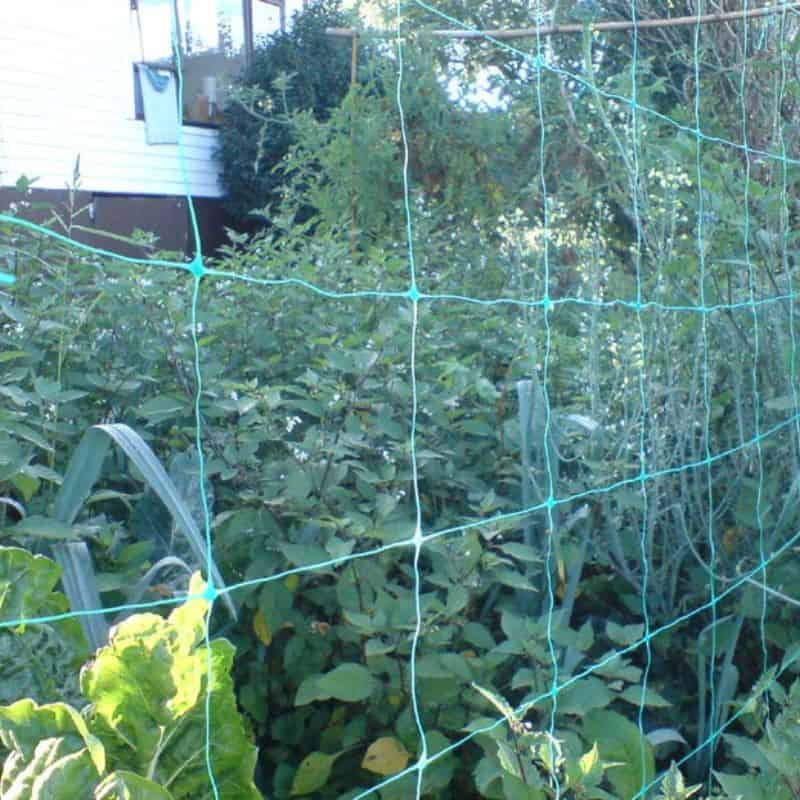 trellis netting