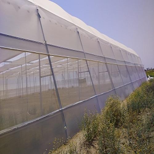 insect net 500x500