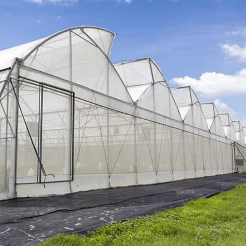 50 mesh insect net