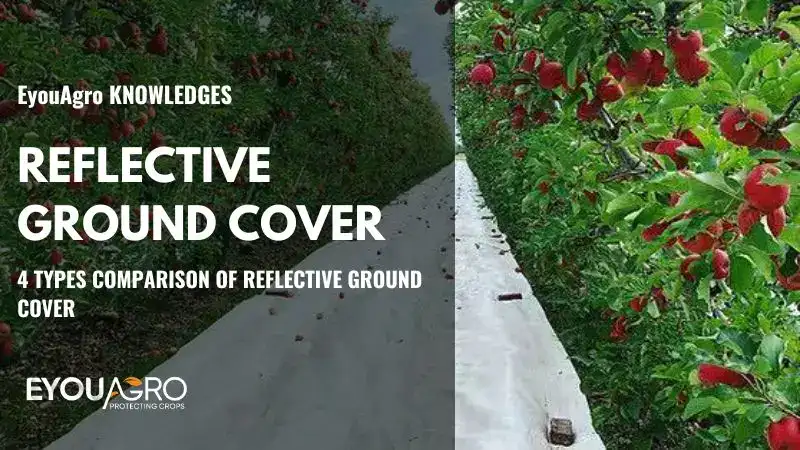 reflective ground cover (5)