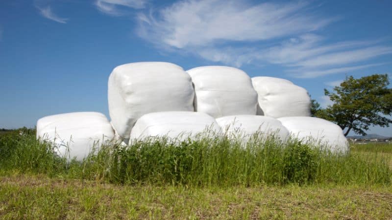 Why You Should Use Silage Film To Protect Your Harvest?