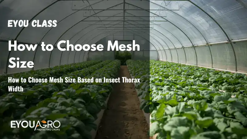 swd mesh requirements (2)