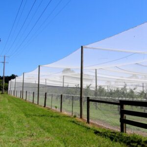 Fruit Tree Netting Main