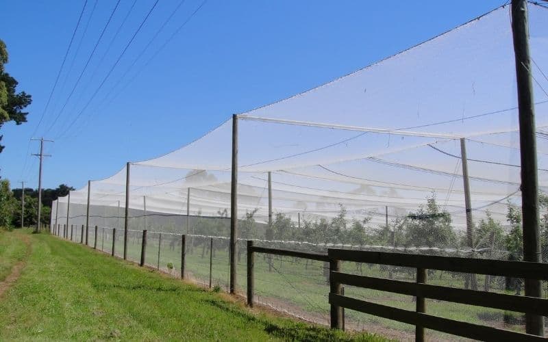 bird netting installation canopy