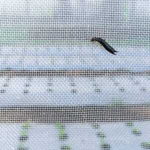 Rete per insetti da 32 maglie