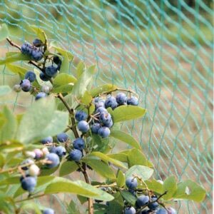 Bird Netting