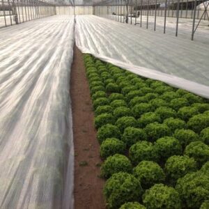 Frost Protection Cover