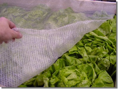 Frost Protection Netting - Image 4