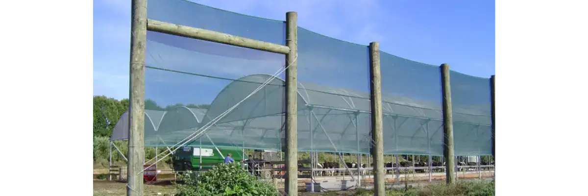 70% windscreen