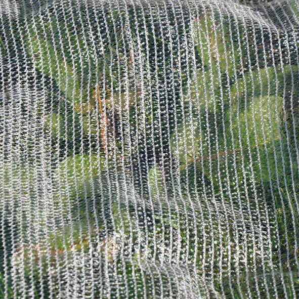 Frost Protection Netting - Image 3