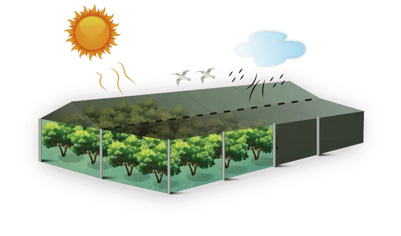 Agriculture Crop Covers