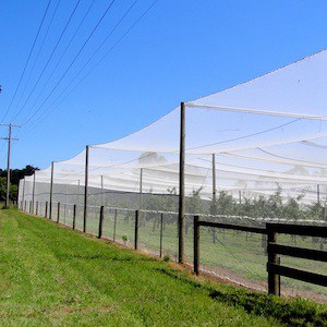 Eyouagro Bird Netting