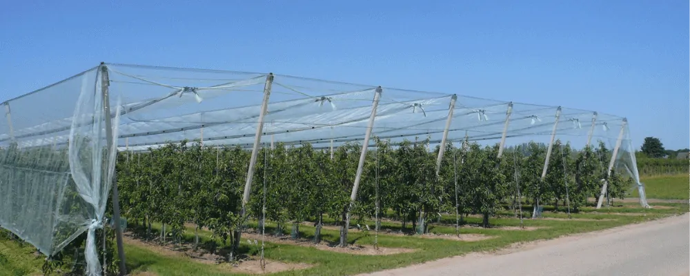 Eyouagro Agrotextile