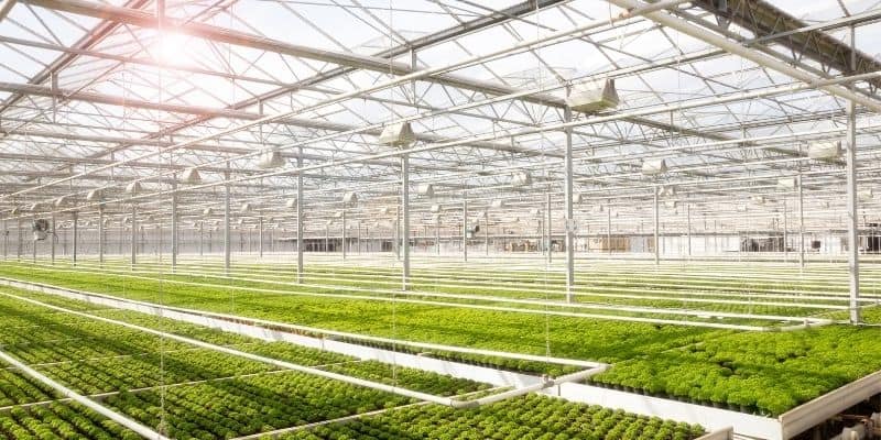 5 Tips To Choose Aluminized Reflective Shade Cloth