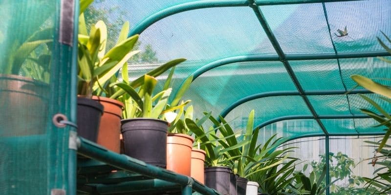 Shade Cloth