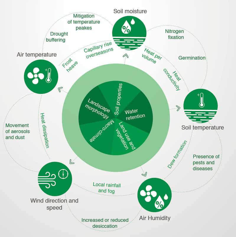 What Is Microclimate