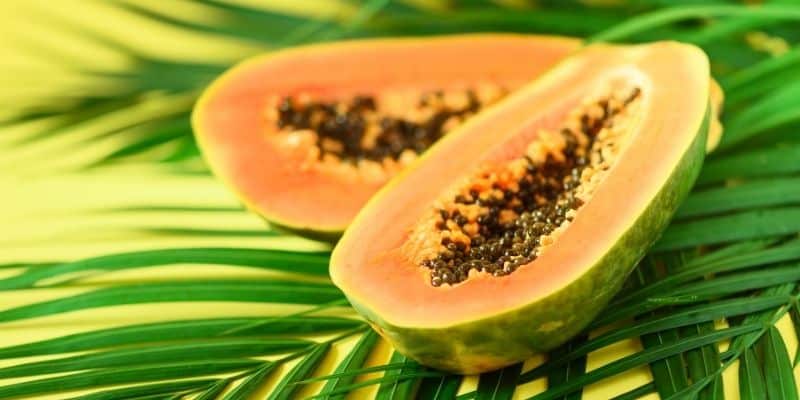 papaya